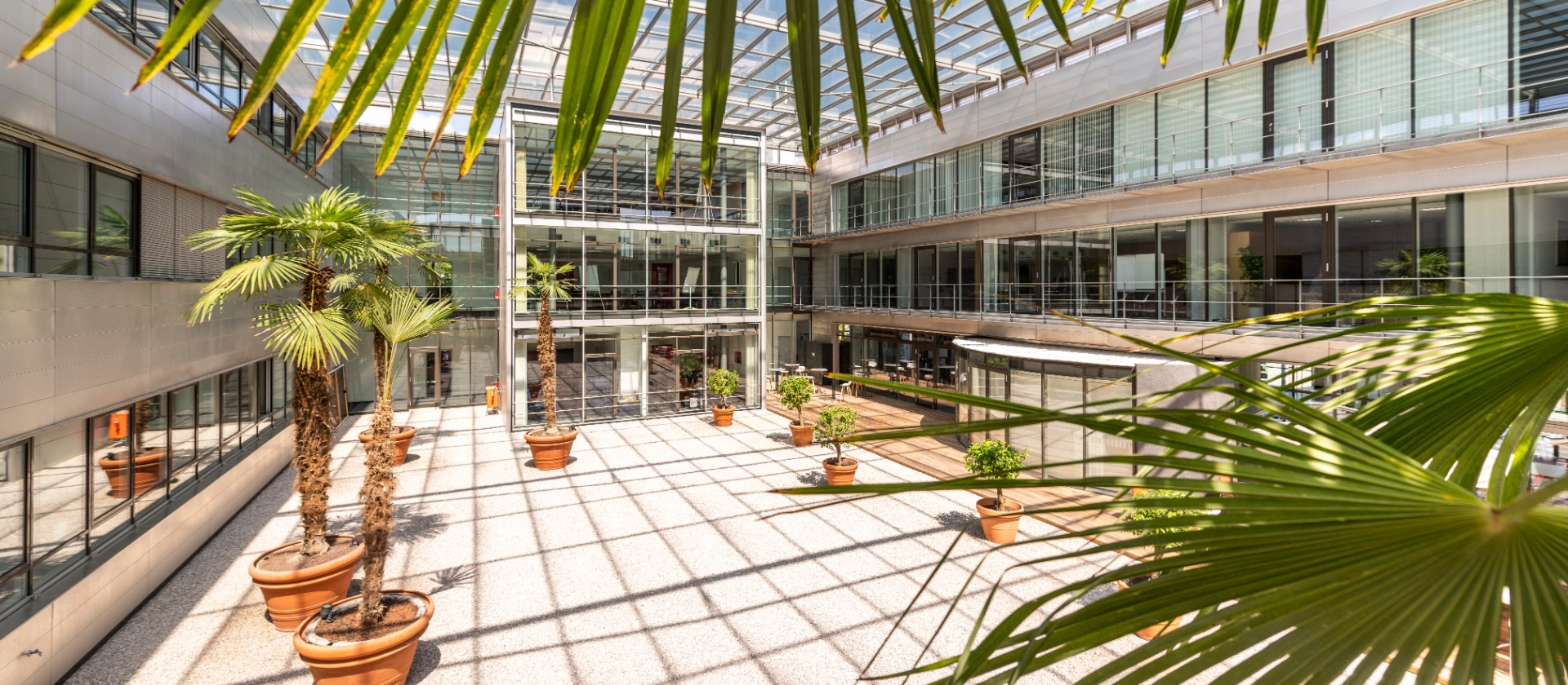 Überdachter mit Topfpalmen gesäumter Innenhof in der msg-Firmenzentrale Ismaning