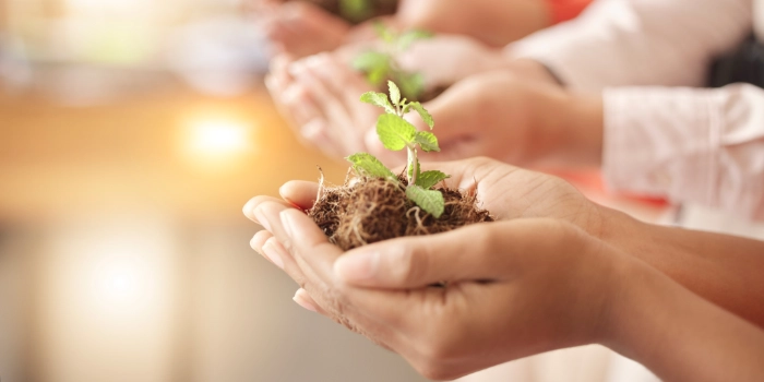 Hände, die Erde und einen wachsenden Pflanzenspross halten, stehen für das Soziale Engagement bei msg