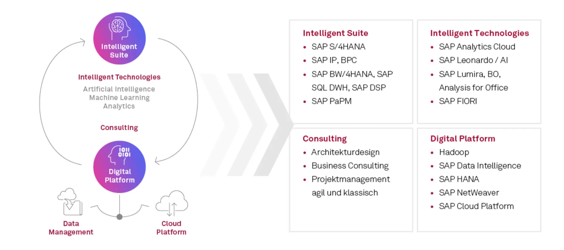 SAP Business Intelligence & Analytics