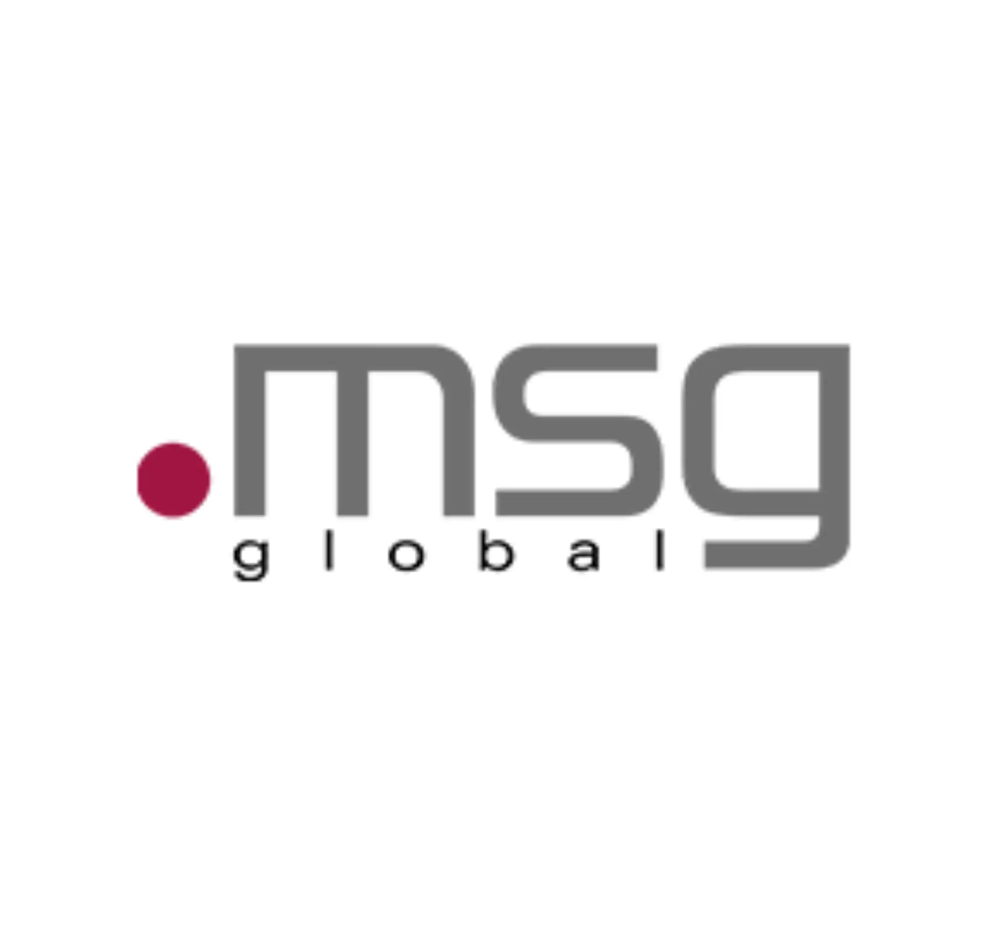 msg global Logo