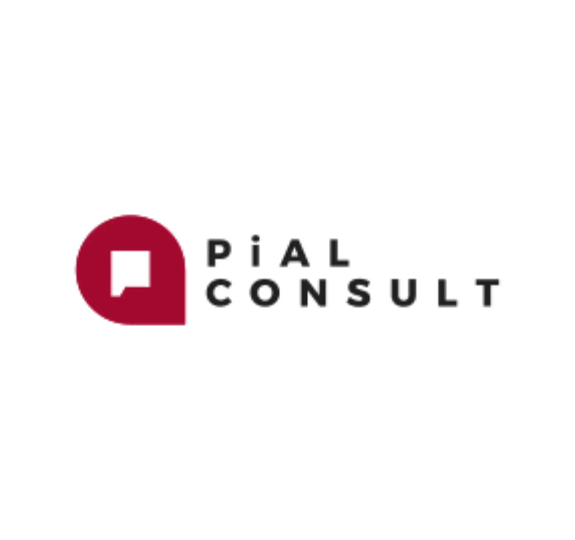 PiAL Consult Logo