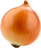 Cebolla