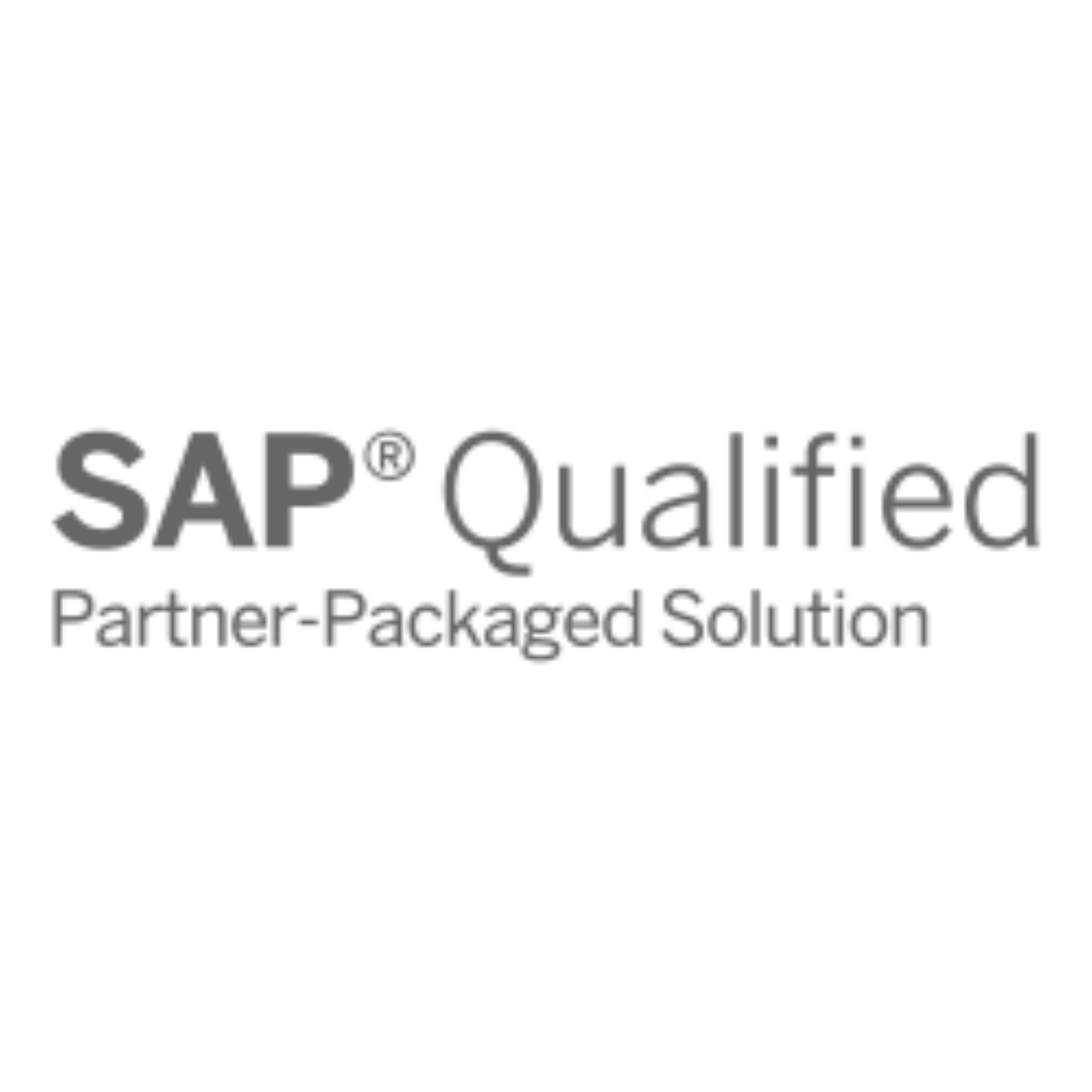 SAP Qualified Partner-Packaged Solution Logo
