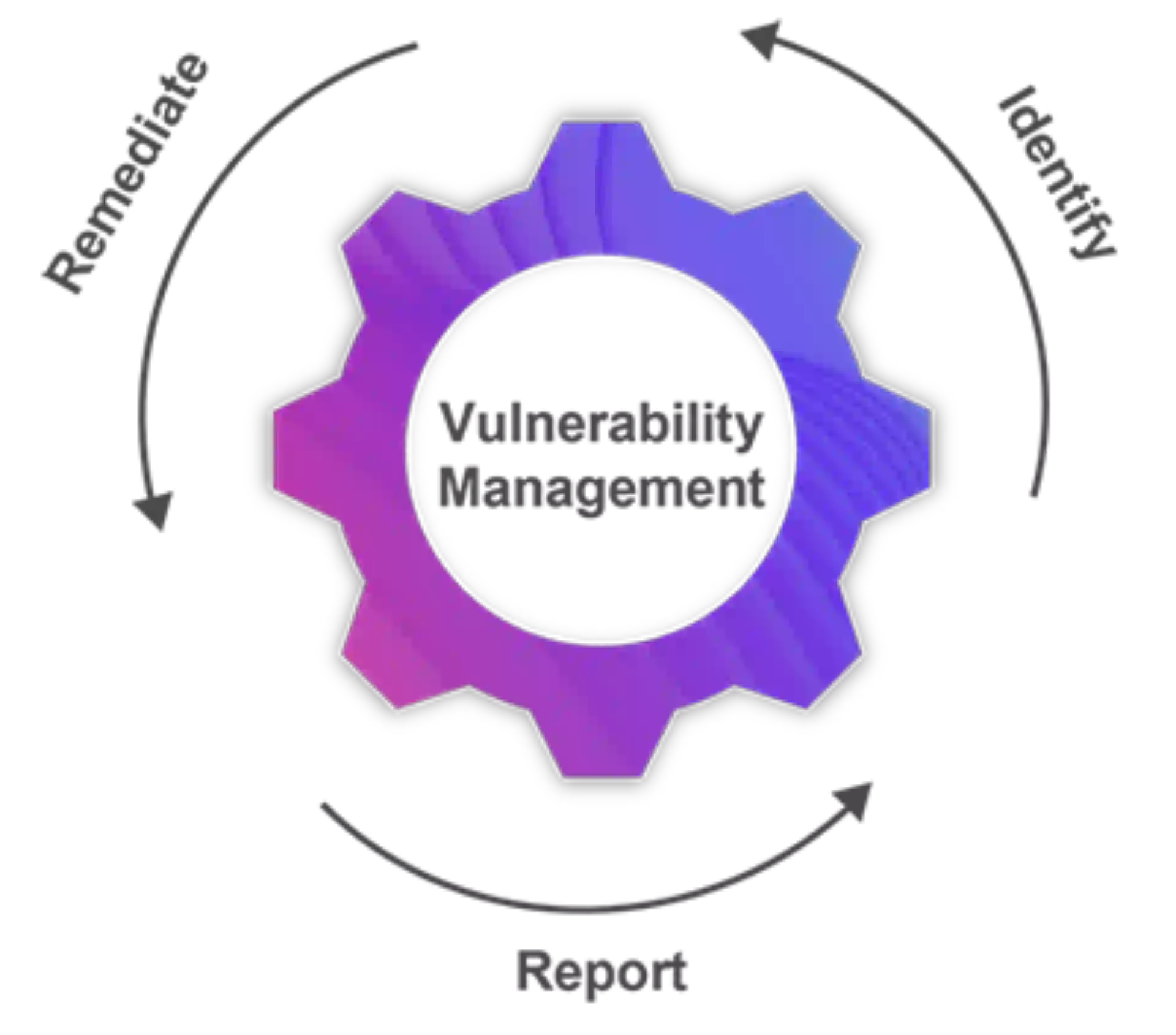 Vulnerability Management Services 